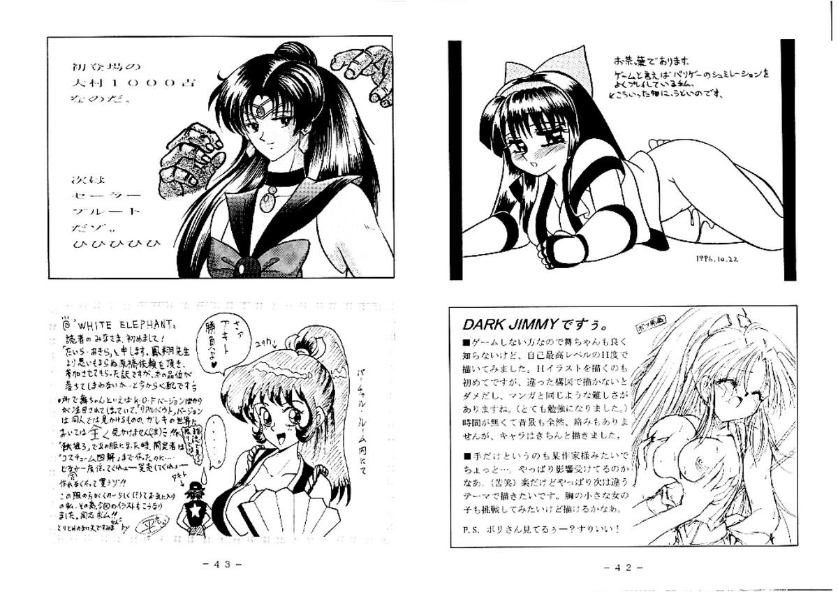 [White Elephant (よろず)] 舞ちゃん官能写真集 (ザ·キング·オブ·ファイターズ)