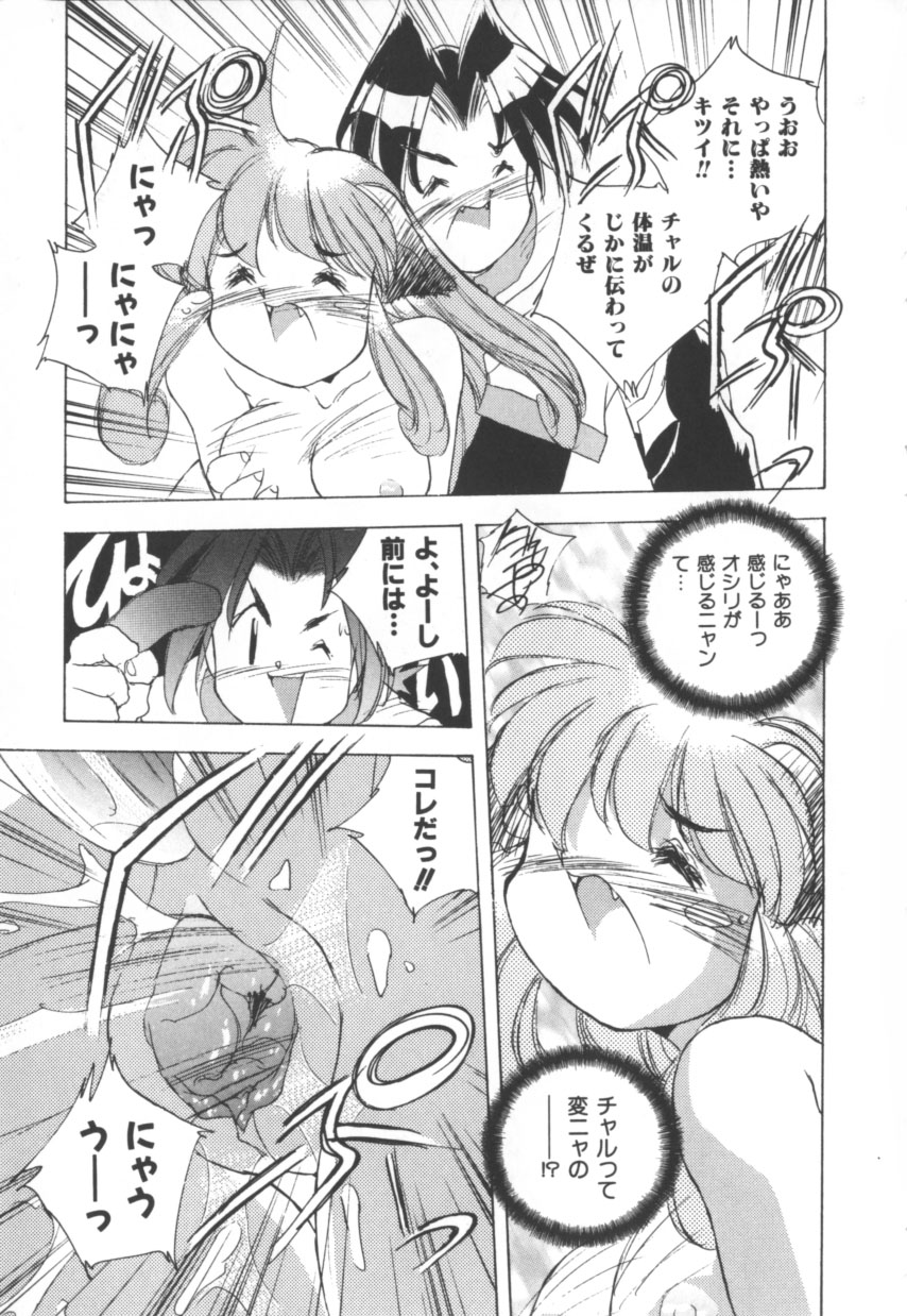 [はりけんはんな] 突然!Cat tale いーえっくす