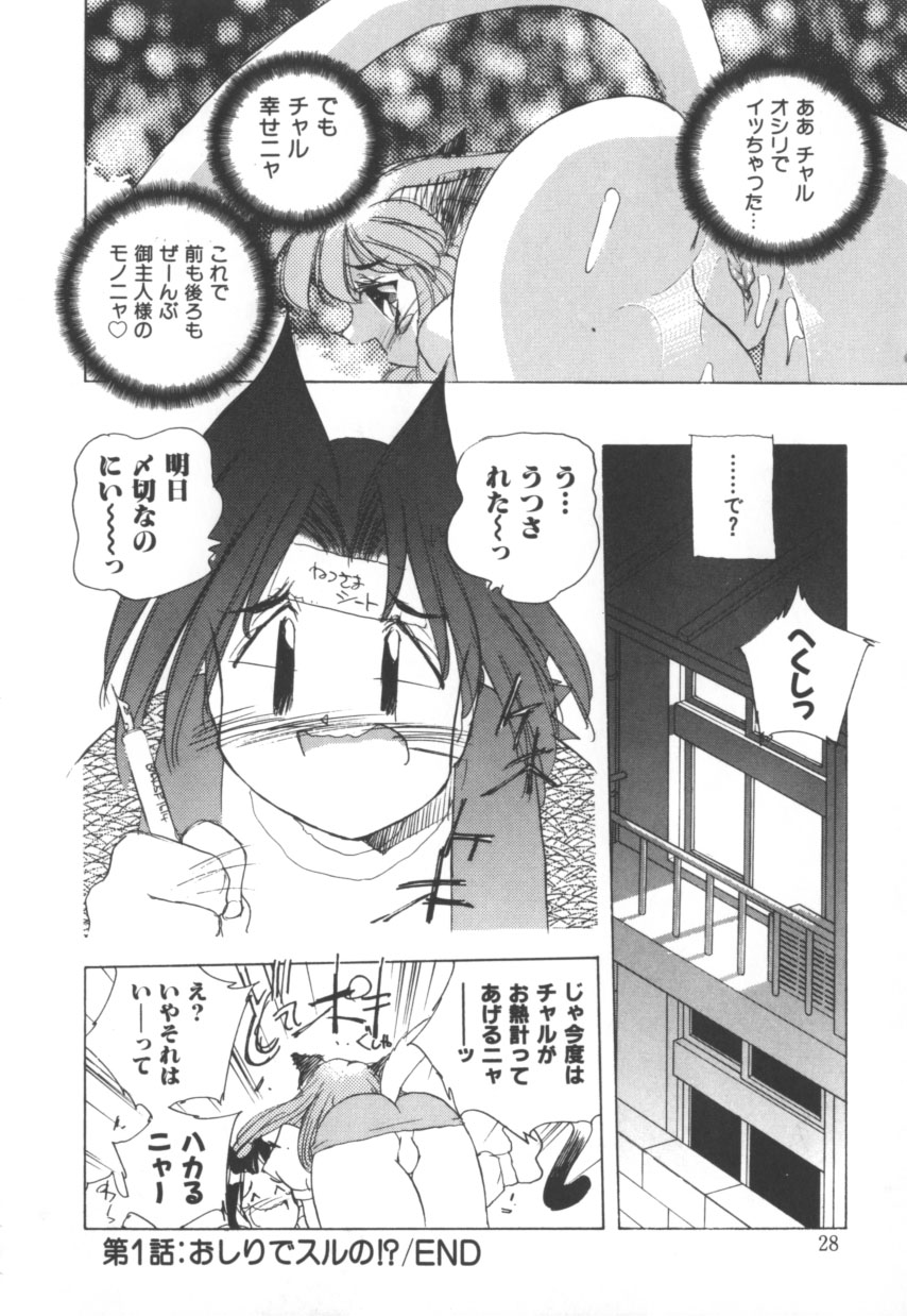 [はりけんはんな] 突然!Cat tale いーえっくす