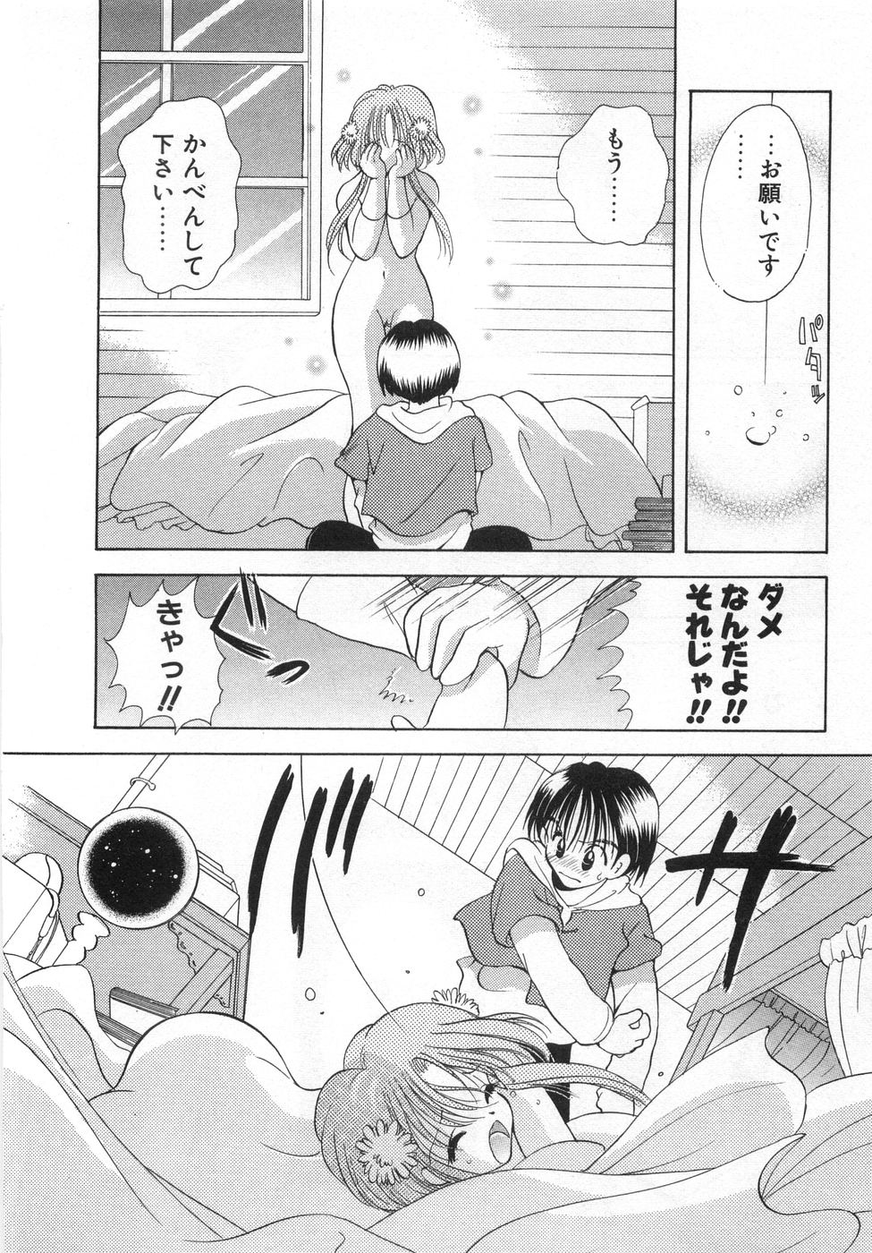 [後藤羽矢子] オレンジ色の花