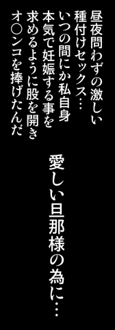 [しっぽ番長] 魔法少女なのⅣ製品版 (魔法少女リリカルなのは)