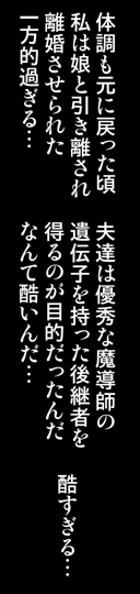 [しっぽ番長] 魔法少女なのⅣ製品版 (魔法少女リリカルなのは)