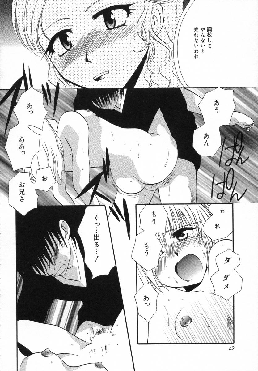 [白駒らい] オトナシロップ