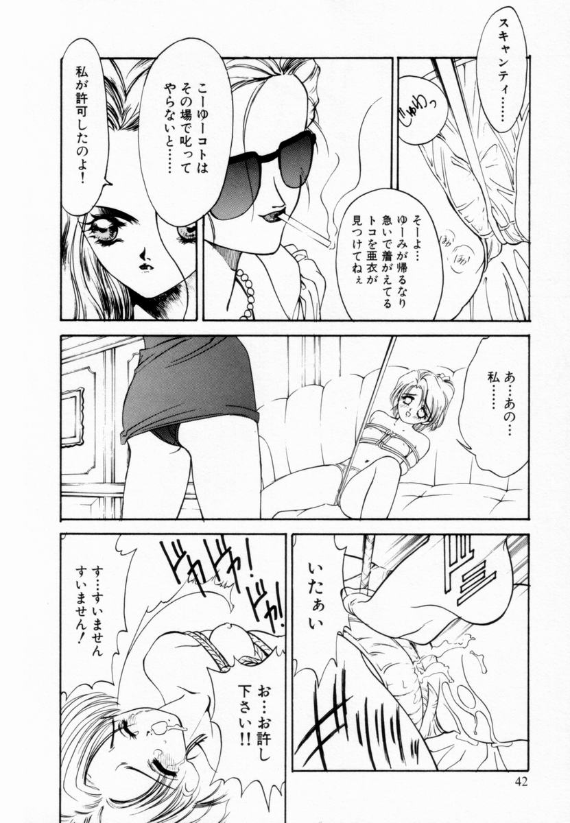 [小山雲鶴] 少女隷辱