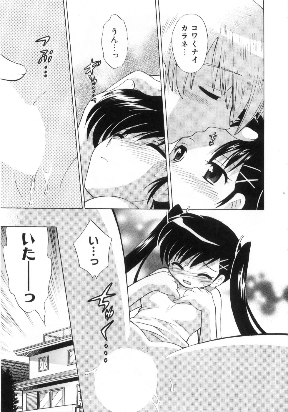 [琴の若子] 奥さまDEナイト 第4巻