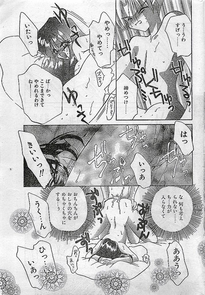 (雑誌) COMIC ピーチクラブ Vol.4 1996年01月号