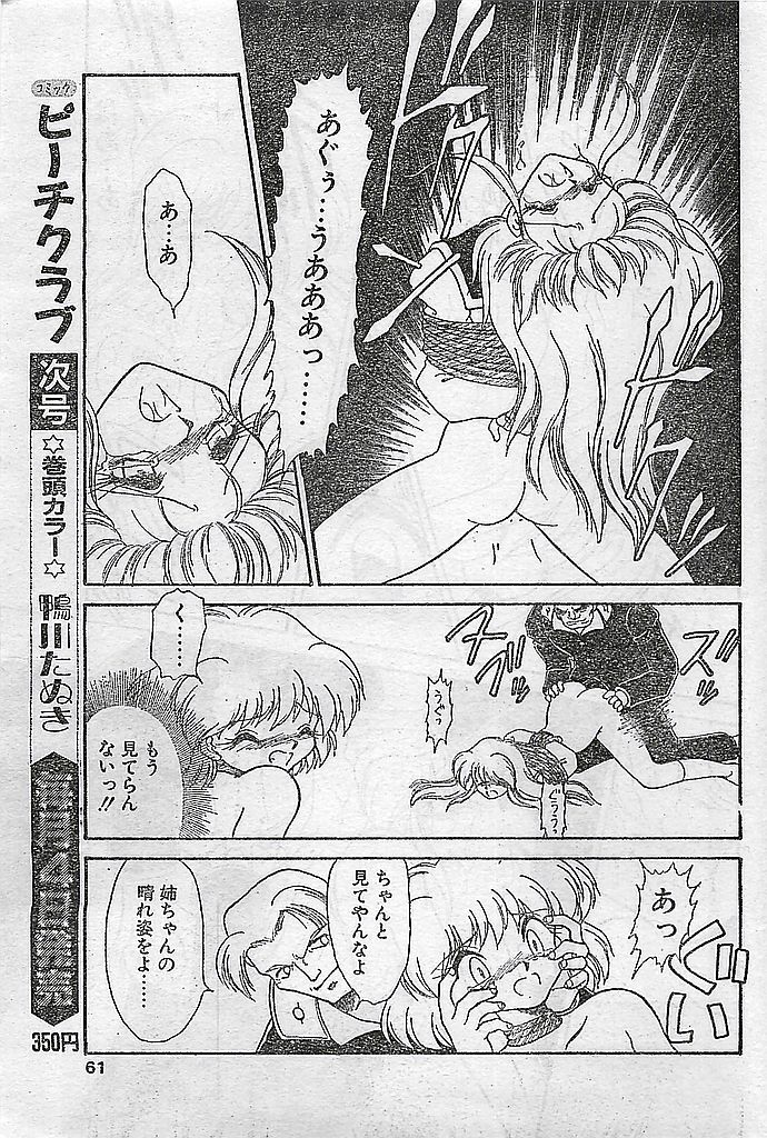 (雑誌) COMIC ピーチクラブ Vol.4 1996年01月号