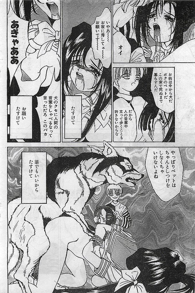 (雑誌) COMIC ピーチクラブ Vol.4 1996年01月号