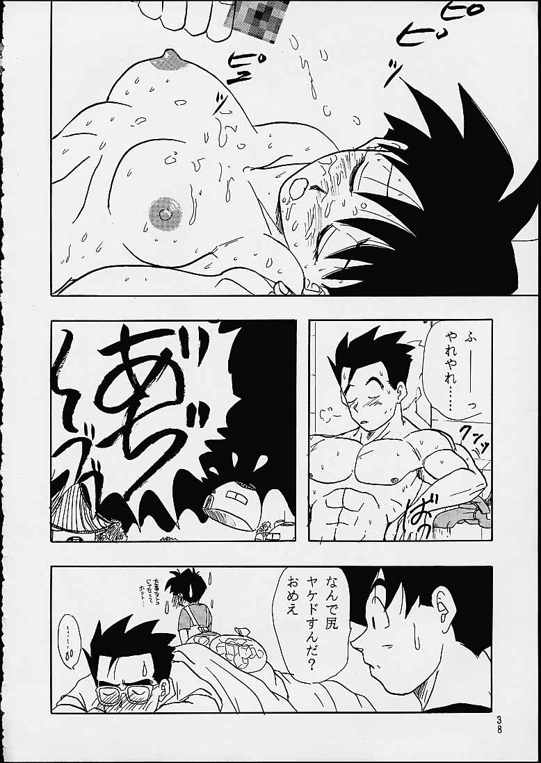 [ちり紙小屋 / ふすま御殿] Z (ドラゴンボール)