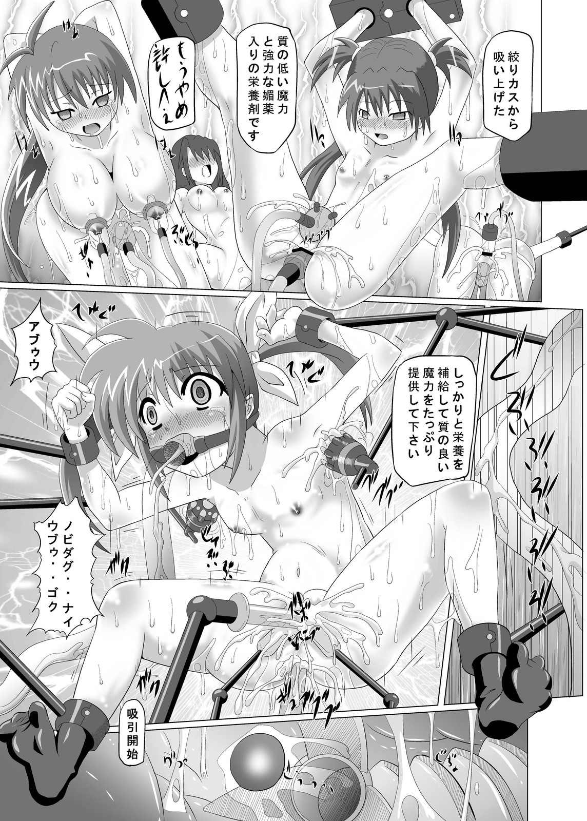 (サンクリ45) [黒玉屋 (紅玉)] 資源回収 (魔法少女リリカルなのは)