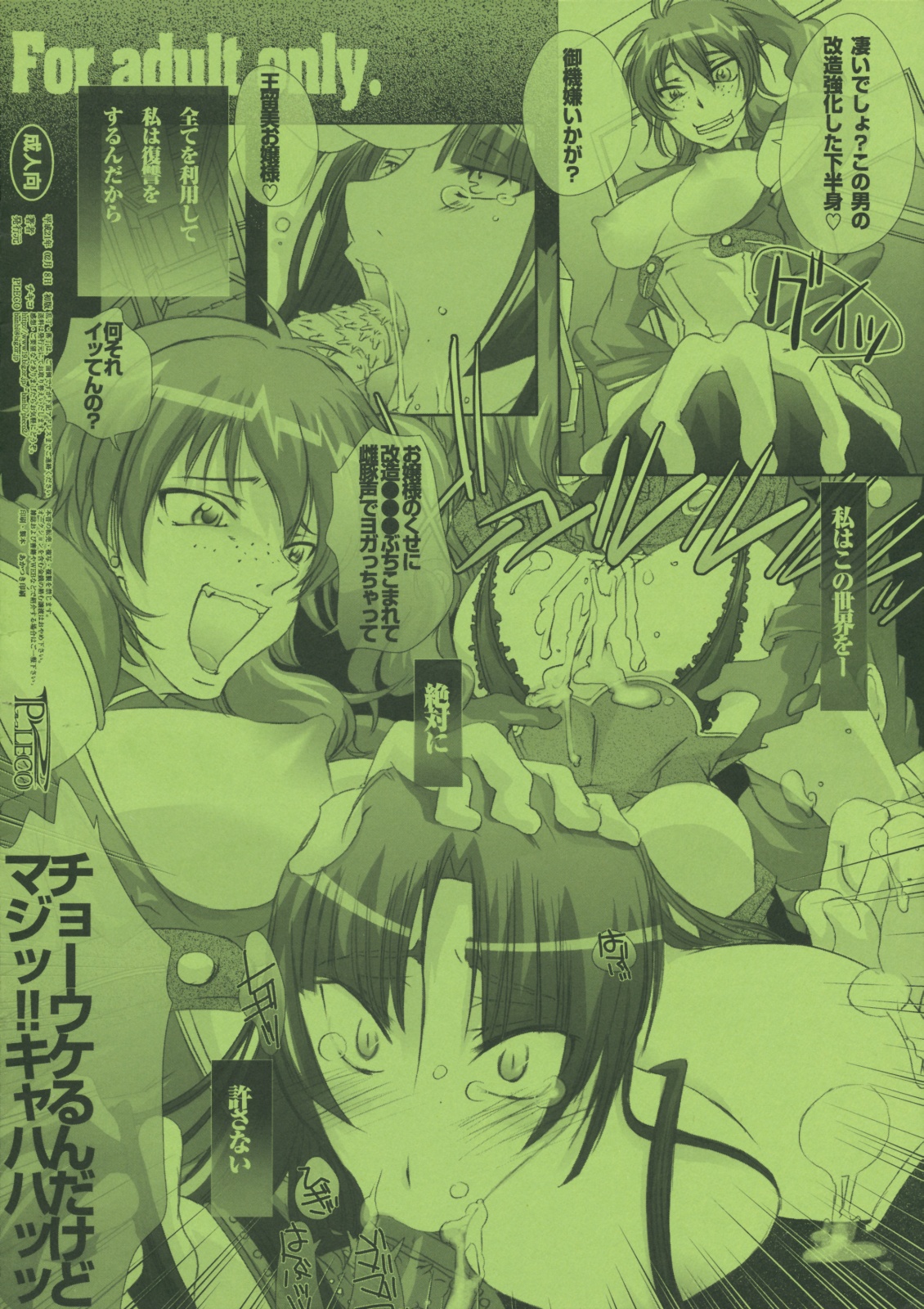 (サンクリ42) [PLECO (チキコ)] pleco-de；B 「私は絶対許さない」 (ガンダム00)
