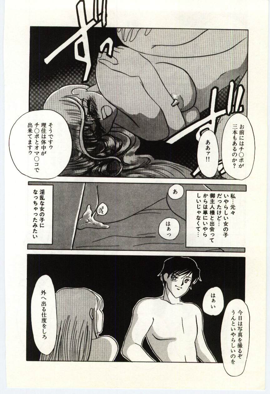 [海野やよい] 薄氷