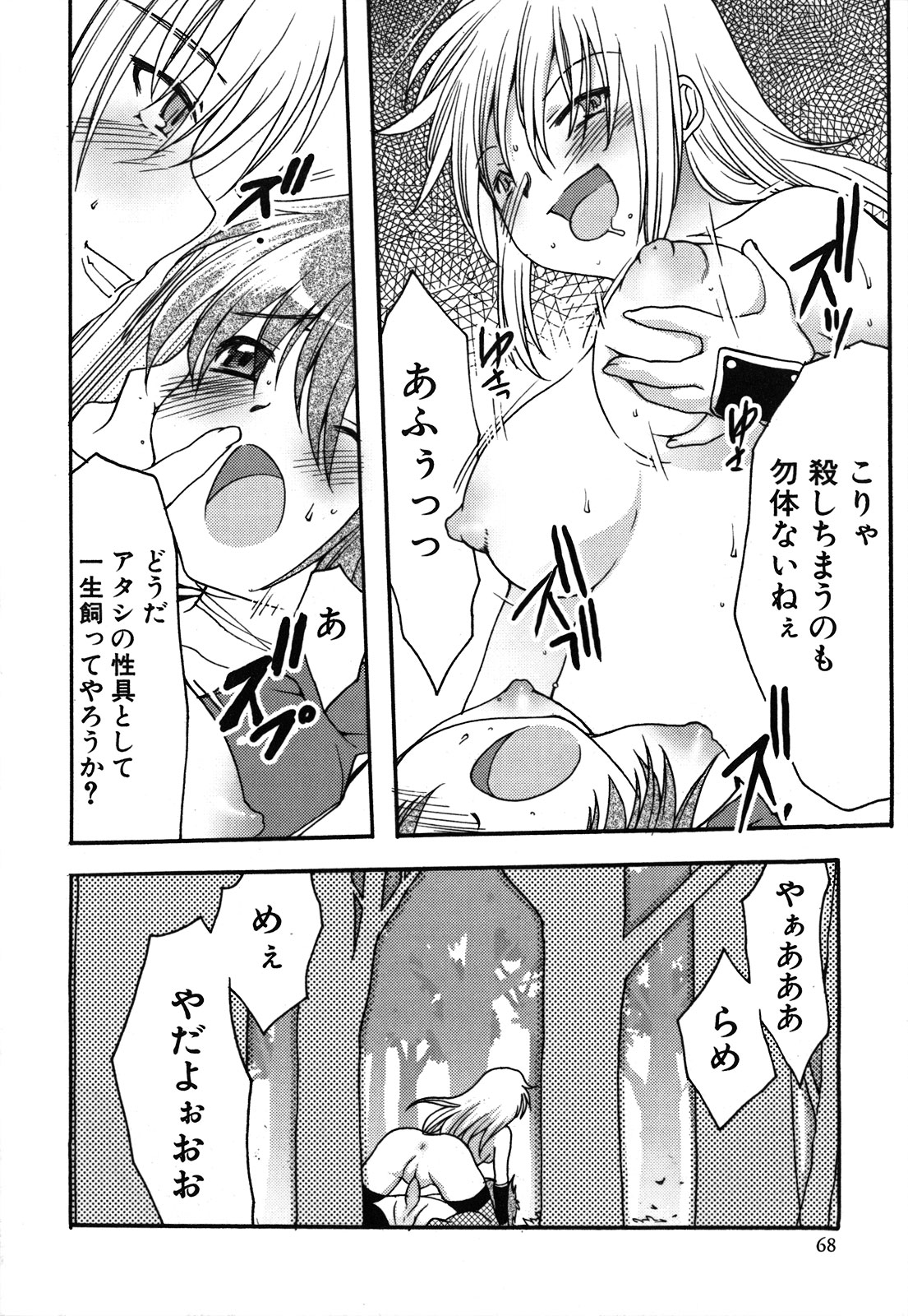 [シルエットさくら] くずざくら [2009-06-10]