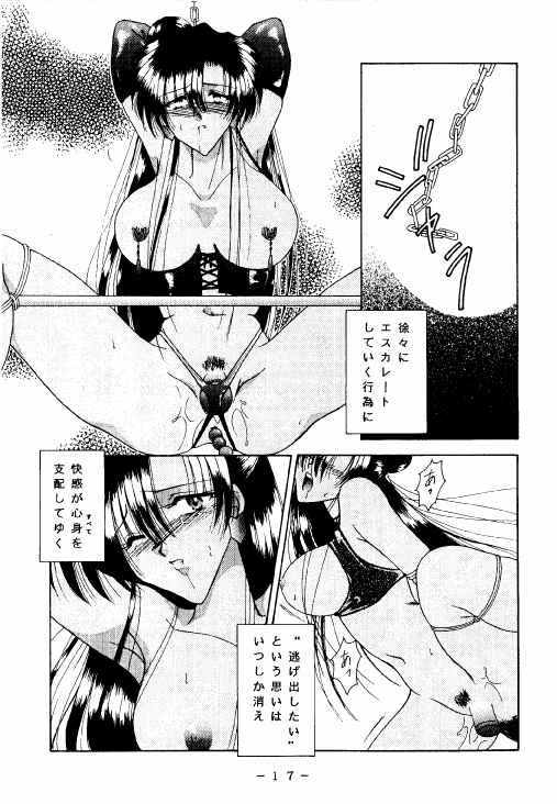 [WHITE ELEPHANT (鳳翔伶)] 冥聖散華 2 (美少女戦士セーラームーン)