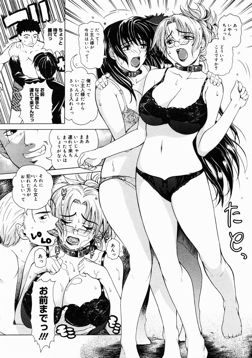 コミックメガストア 2005年2月号