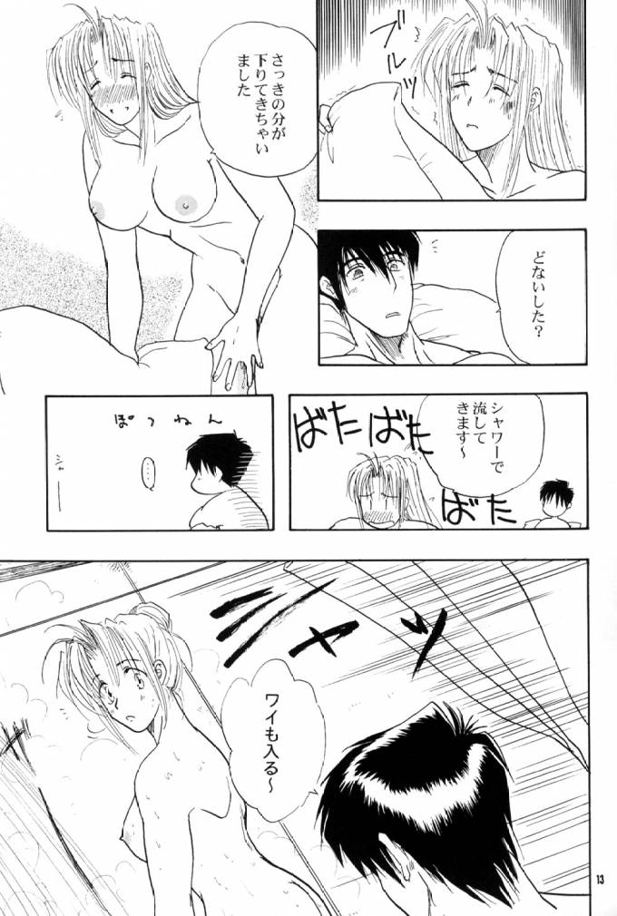 (C61) [ちり紙小屋、ふすま御殿 (障子張子)] immoral imitation (トライガン)