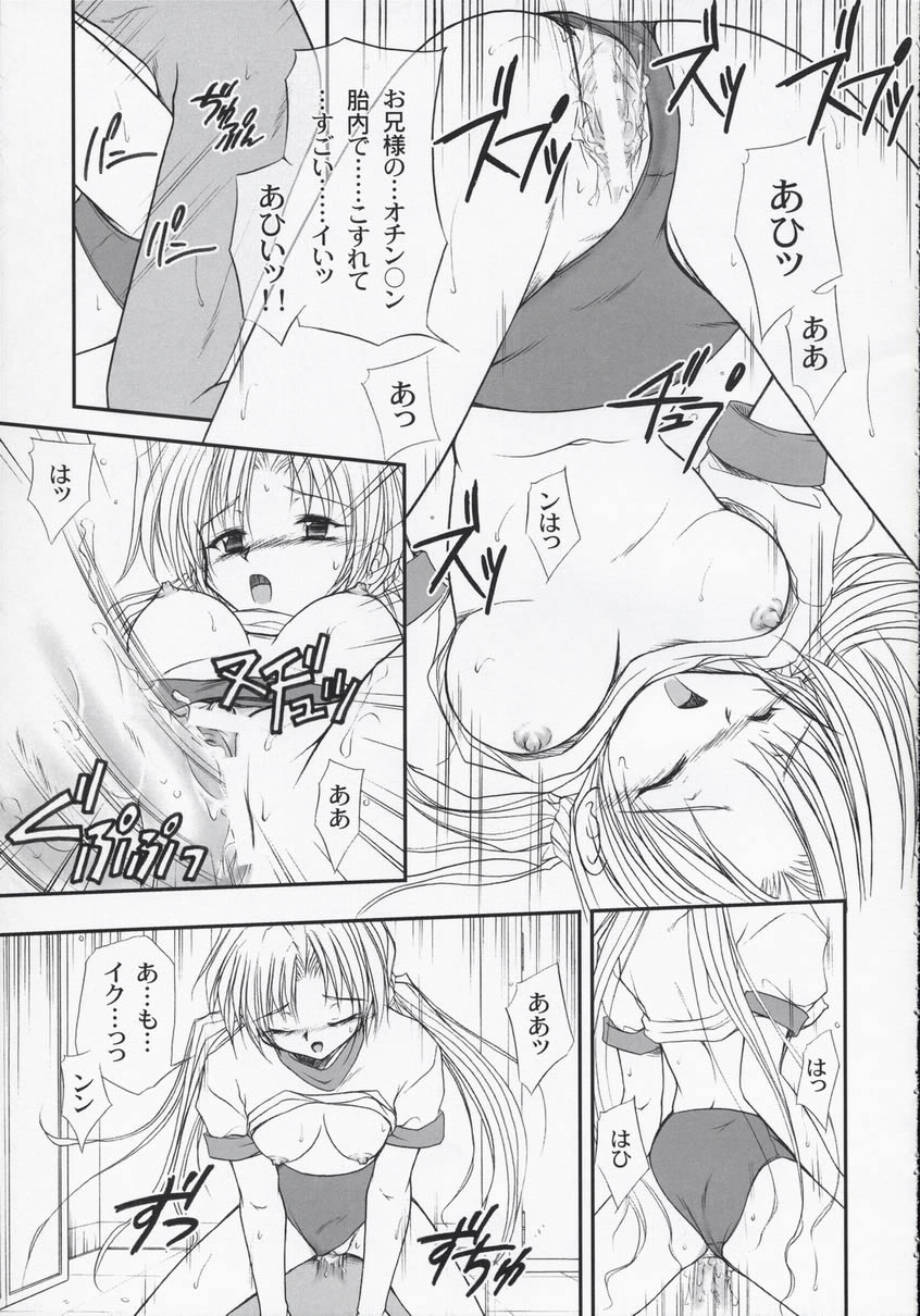 (Cレヴォ33) [GAZEL FORM (真冬ノ水火)] SEXUAL SNIPER (シスター・プリンセス)