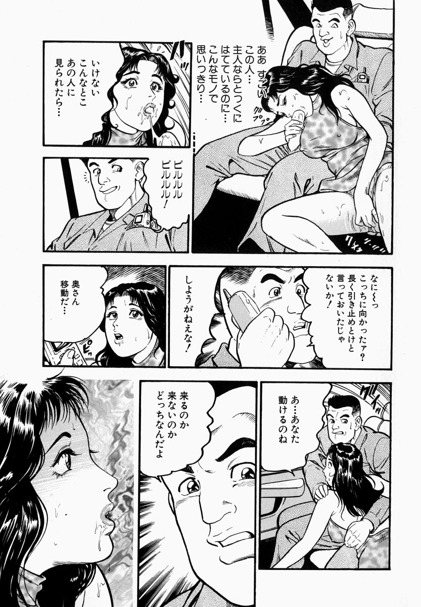 [宝耕介] 一夜妻