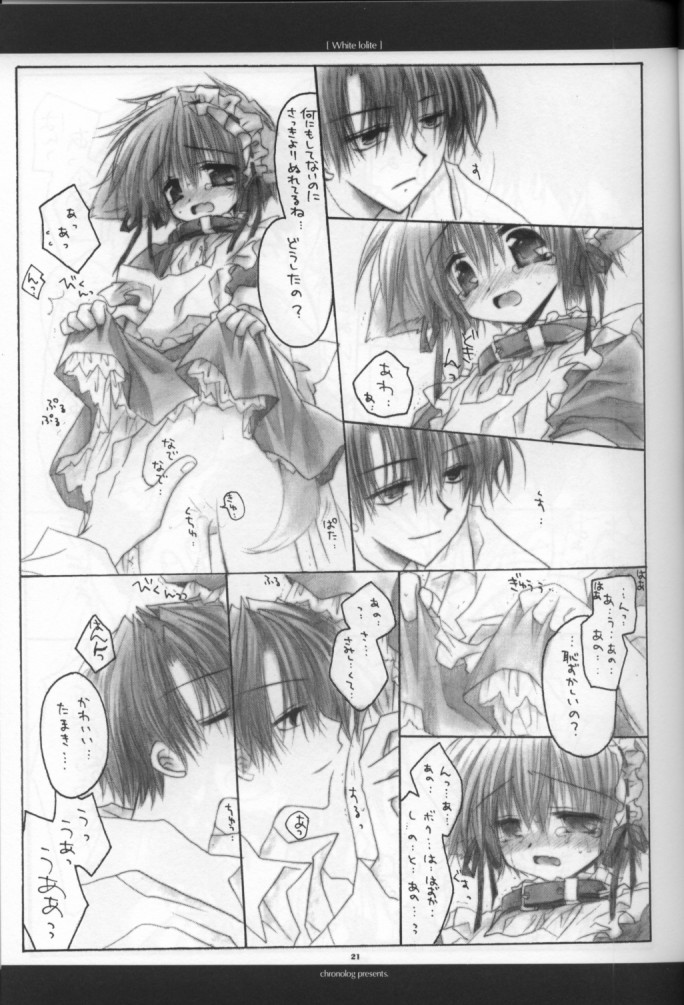 【クロノログ】ホワイトロライト