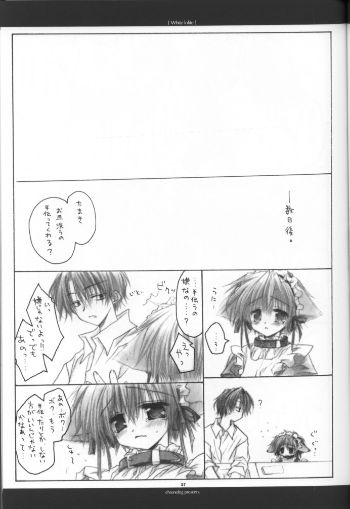 【クロノログ】ホワイトロライト
