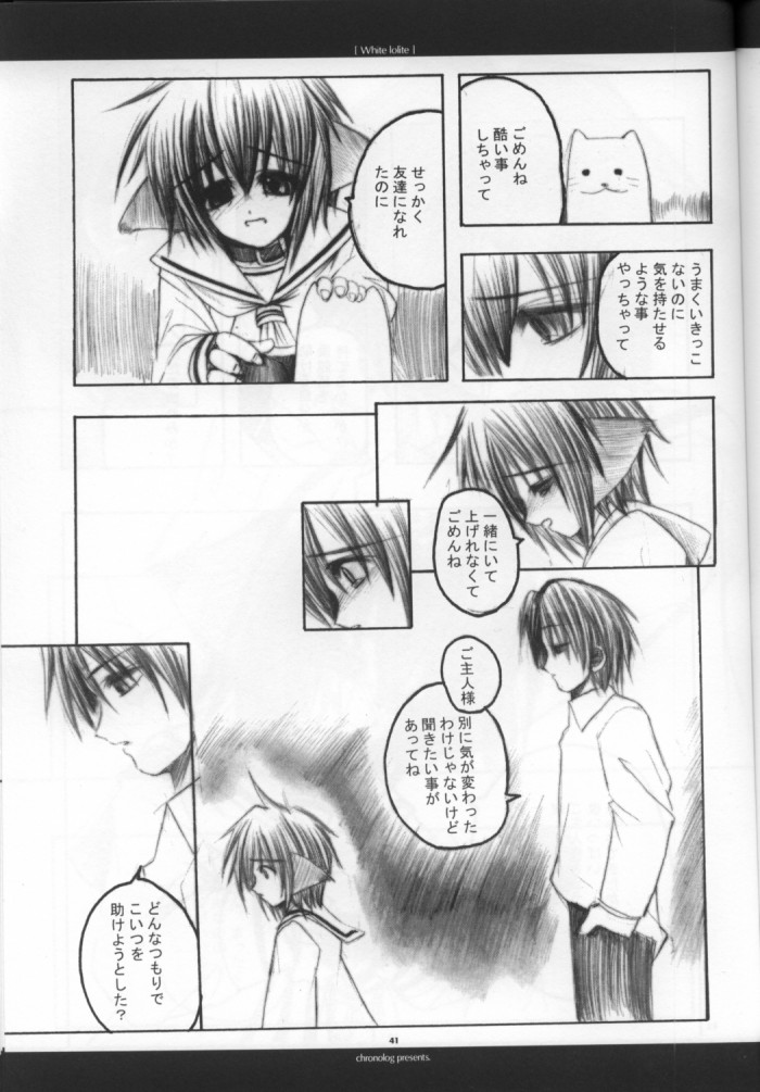 【クロノログ】ホワイトロライト