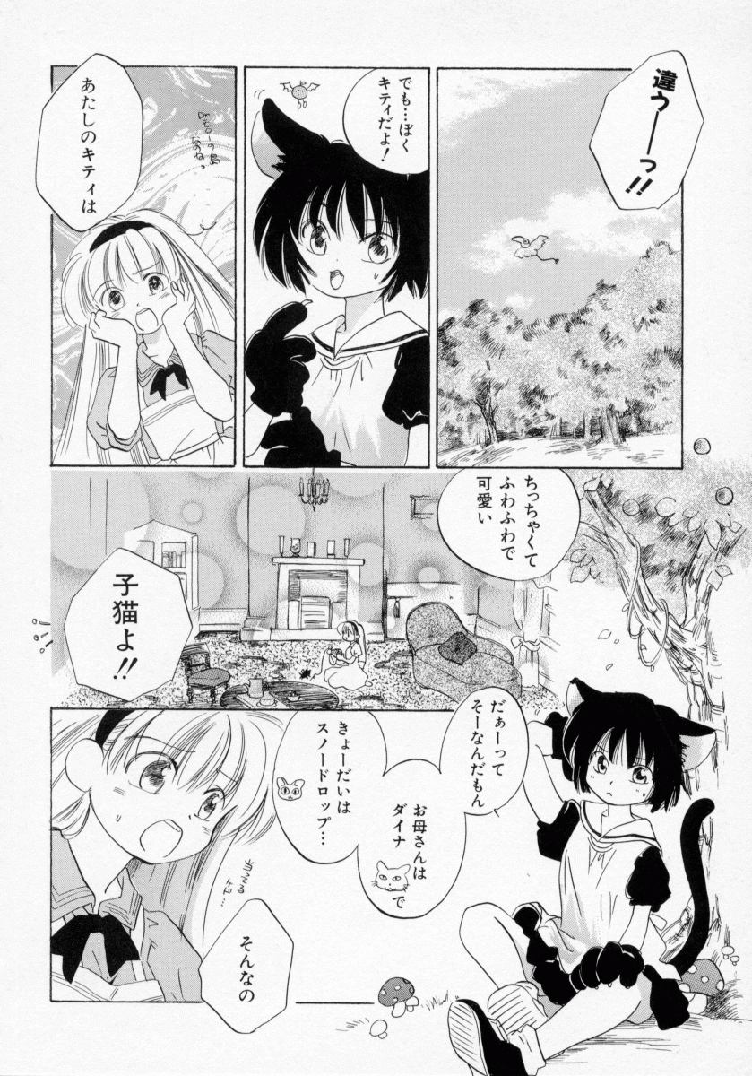 [甘夏真琴] BOX