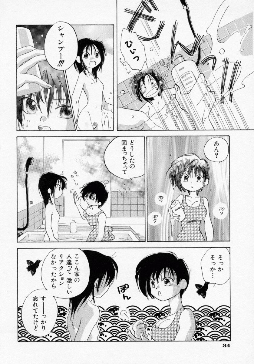 [甘夏真琴] BOX