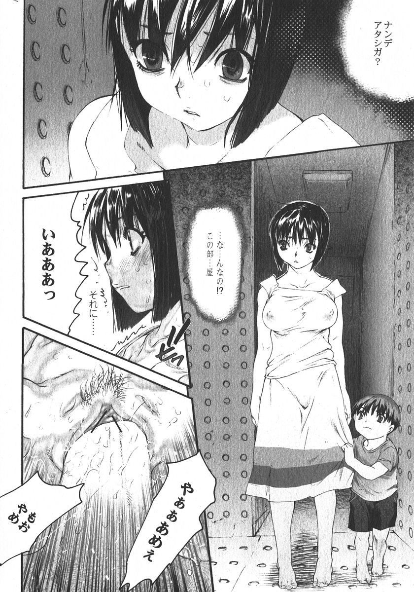純愛果実 2006年1月号