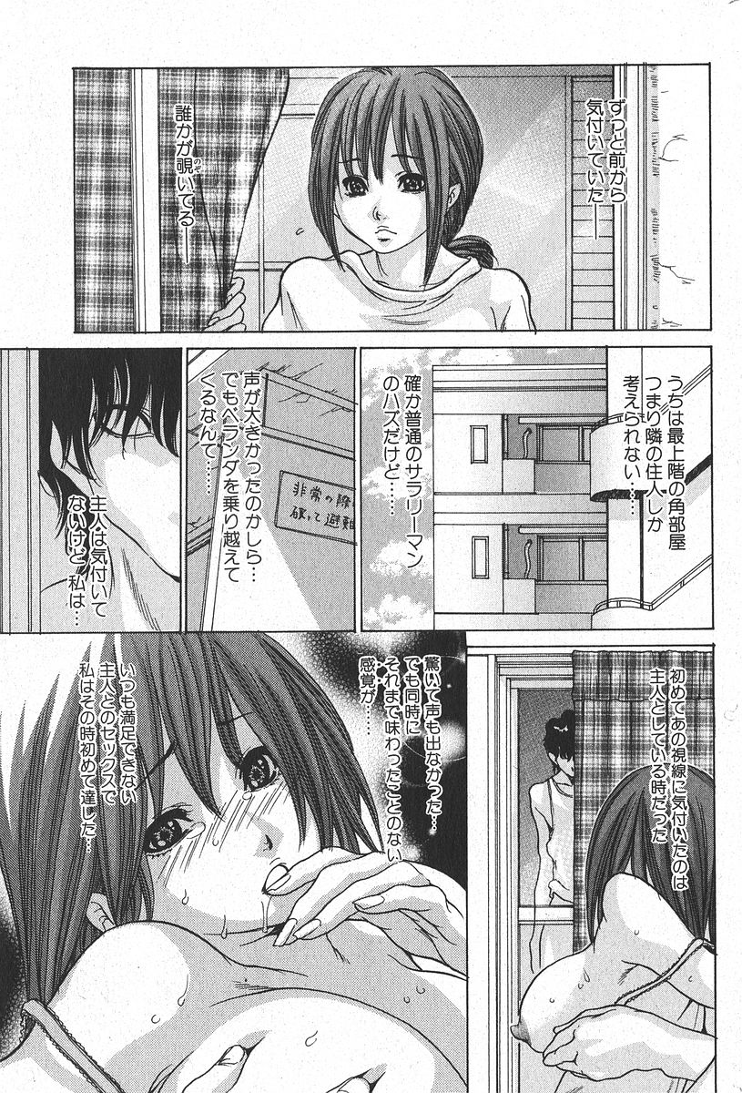 純愛果実 2006年1月号