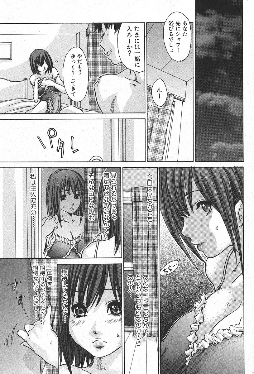 純愛果実 2006年1月号