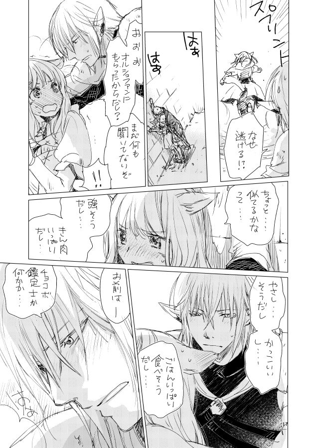 [ASM-P (みっき)] オル光まとめました (ファイナルファンタジーXIV) [DL版]
