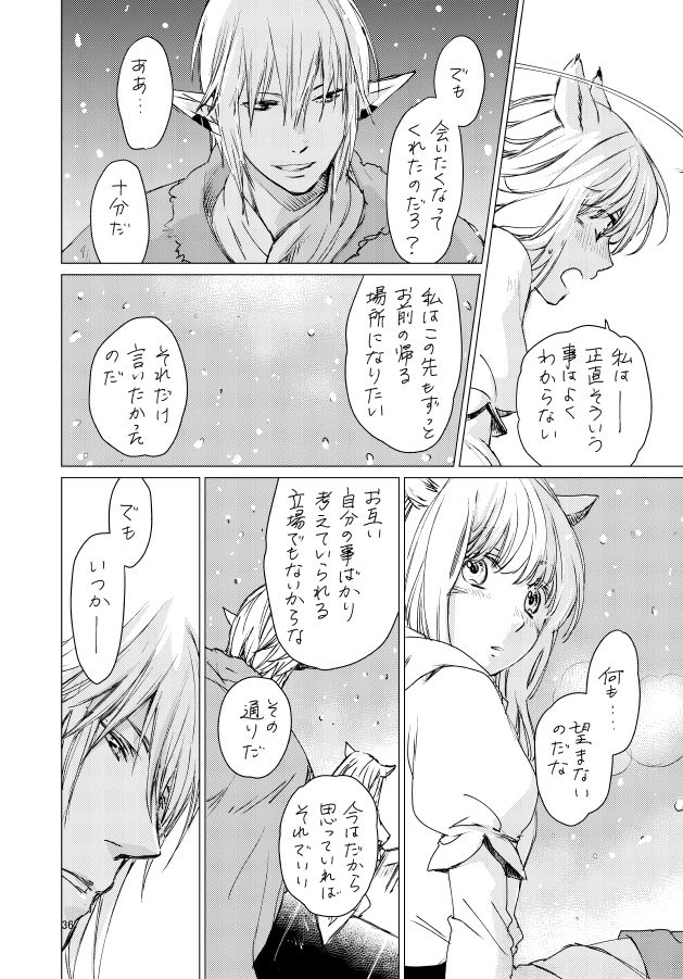 [ASM-P (みっき)] オル光まとめました (ファイナルファンタジーXIV) [DL版]