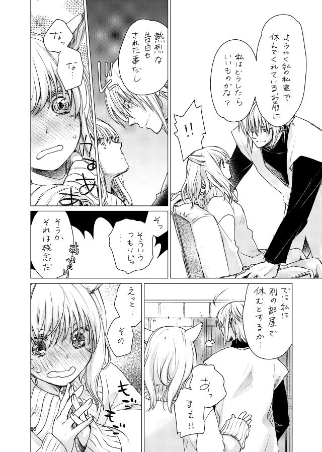 [ASM-P (みっき)] オル光まとめました (ファイナルファンタジーXIV) [DL版]