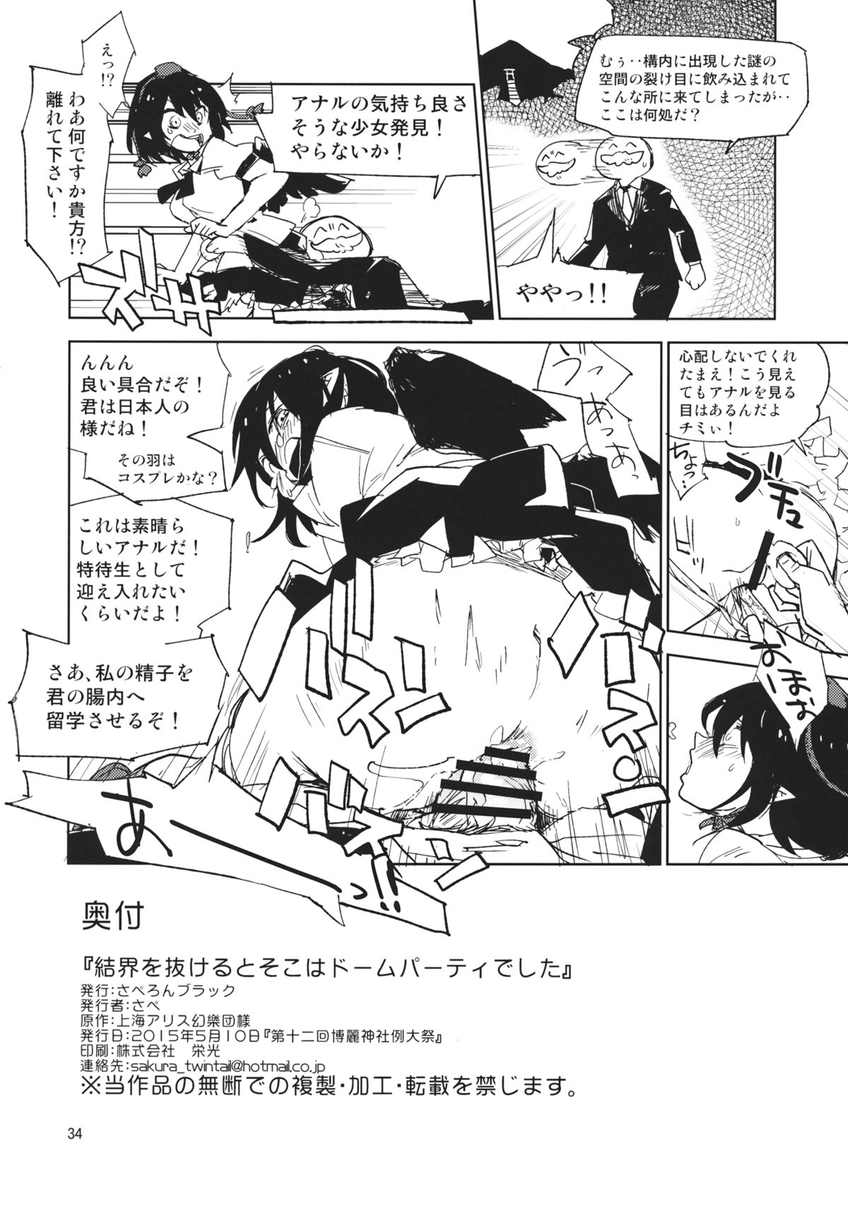 (例大祭12) [さぺろんブラック (さぺ)] 結界を抜けるとそこはドームパーティでした (東方Project)