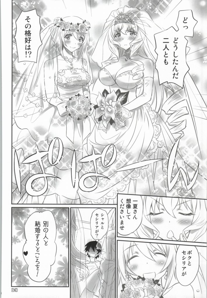 （COMIC1☆8）[Bloody Okojo（Akutagawa Manbou）] IMAGINE !!〜いいから想像して!!〜（インフィニットストラトス）（未完成）