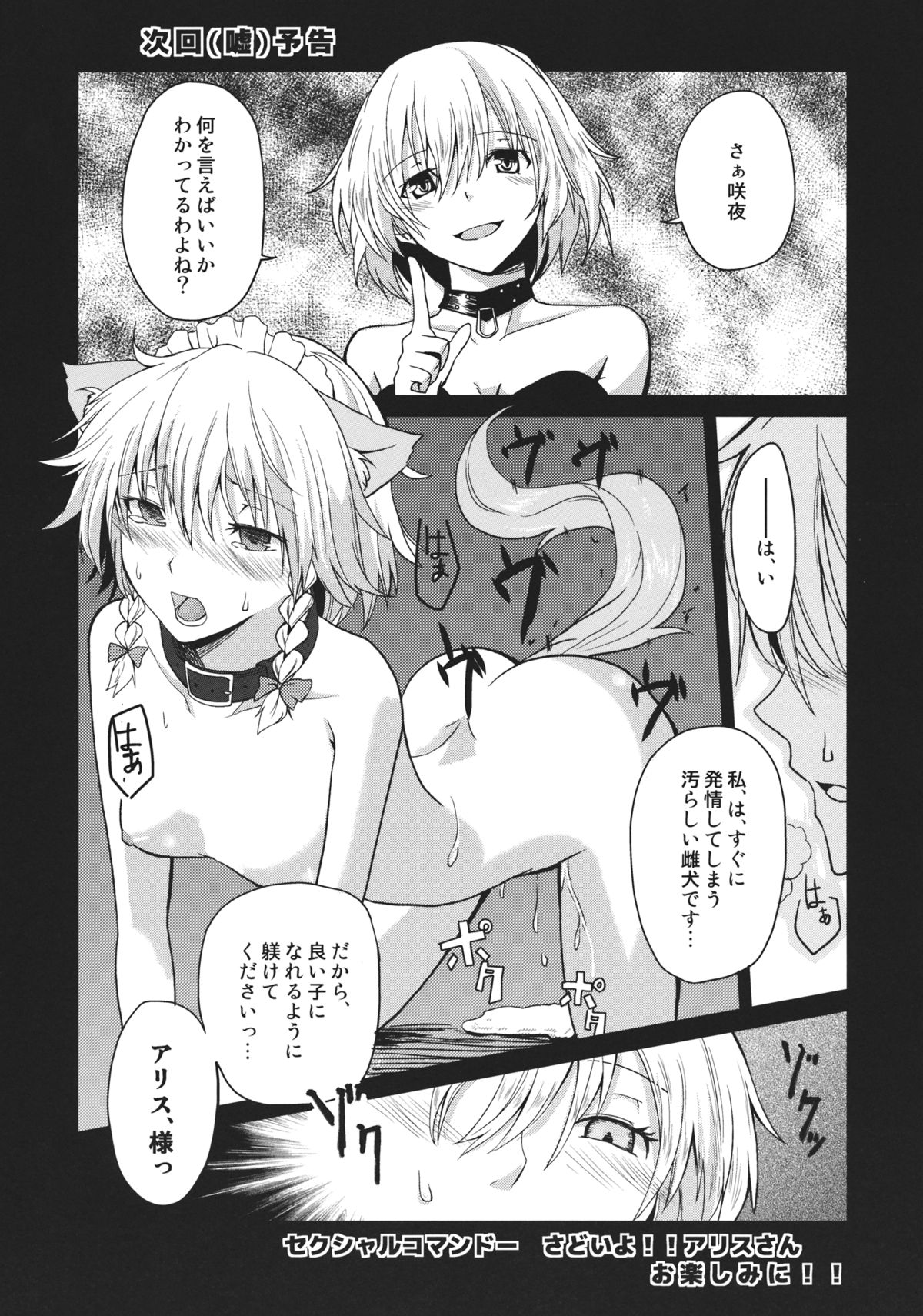 (このはな咲夜4) [戦いの軌跡 (戦友)] このあと二人がセックスします (東方Project) [英訳]