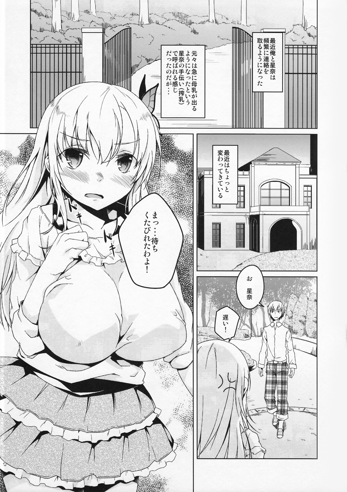 (COMIC1☆6) [カタミチキップ (御影石材)] セナミルク2L (僕は友達が少ない)