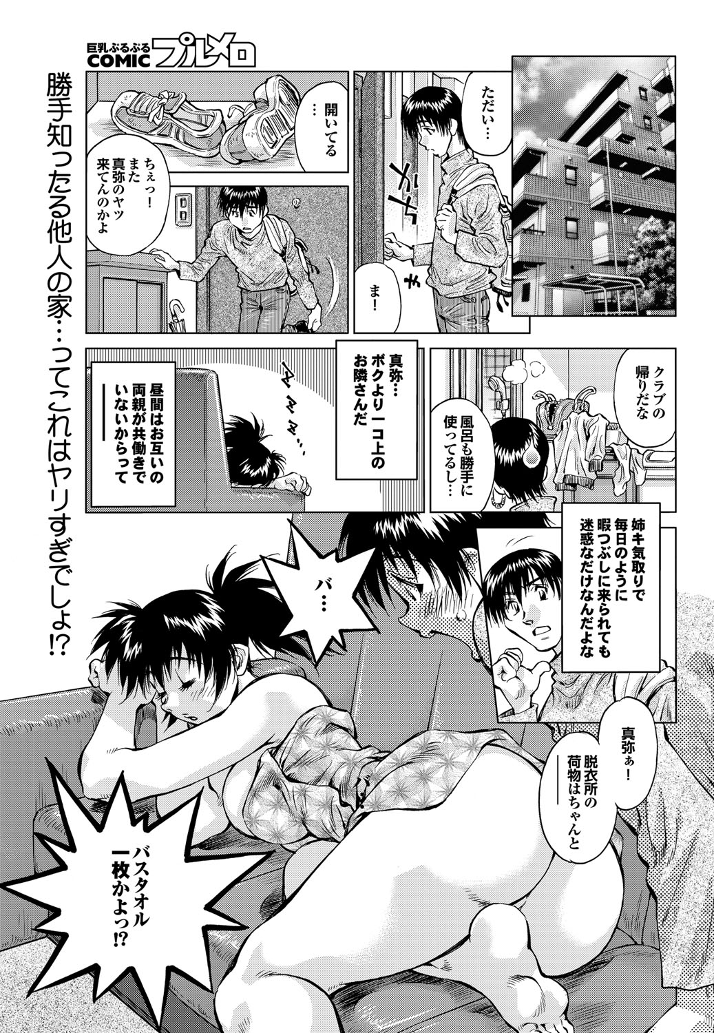 COMIC プルメロ 2010年2月号 [DL版]