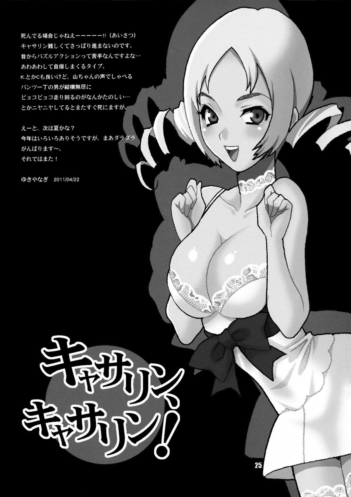 (COMIC1☆5) [シャルロット・ココ (ゆきやなぎ)] ゆきやなぎの本 25 キャサリン、キャサリン! (キャサリン)