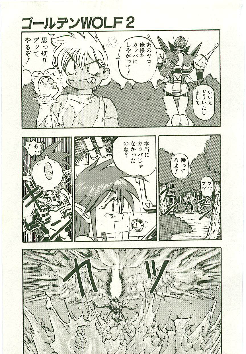 [南野琴] ゴールデンWOLF 2