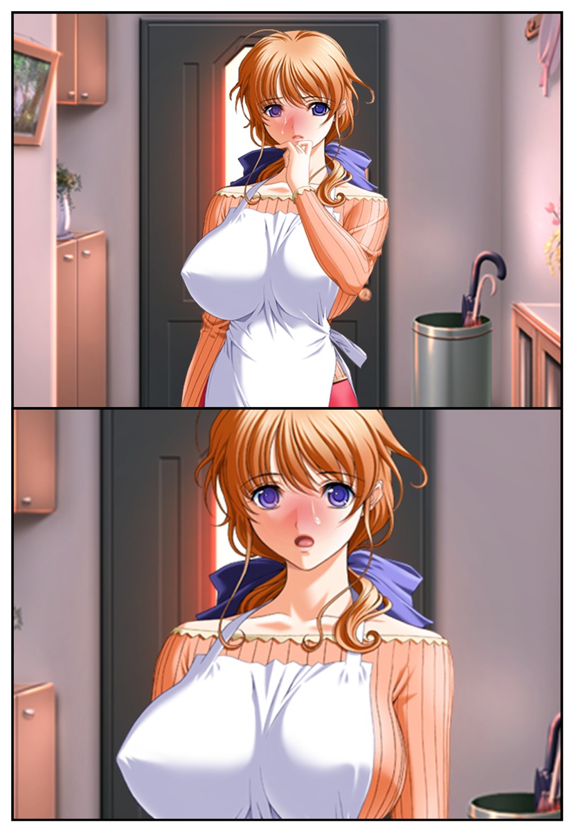 [変幻物語] 美人巨乳妻盗撮レ○プ～美人四姉妹の危ない性癖～