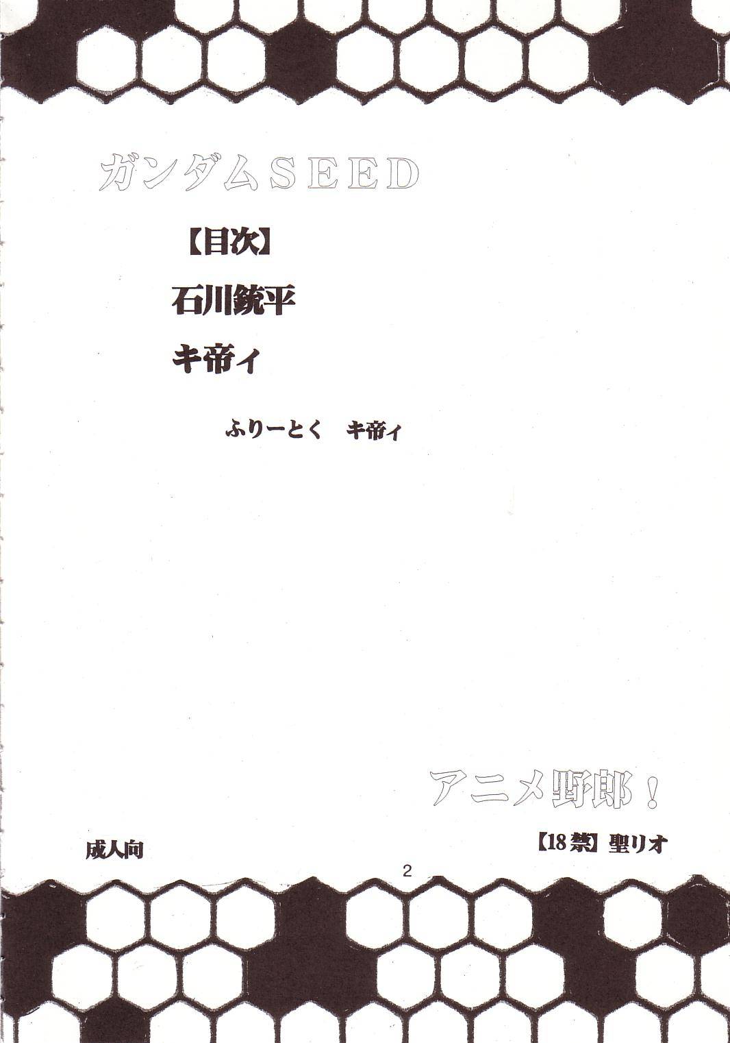 [聖リオ (キ帝ィ、石川銃兵)] SEED 4 (機動戦士ガンダムSEED)