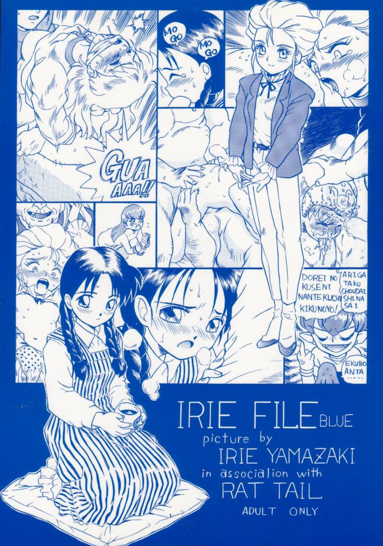 (C53) [RAT TAIL (IRIE YAMAZAKI)] IRIE FILE BLUE (よろず)