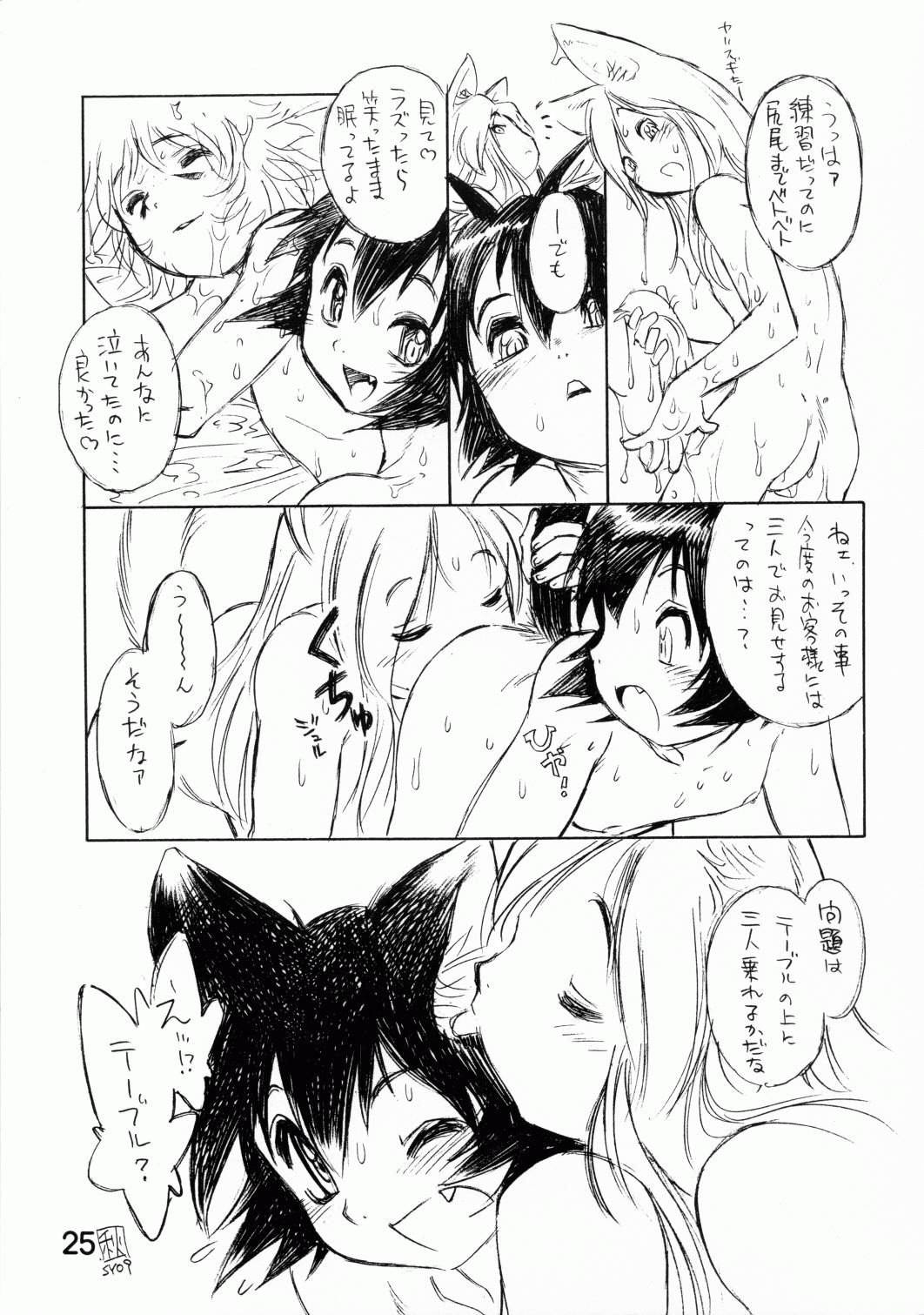 (C68) [流体力学 (秋緒たかみ)] BERRYS oldies