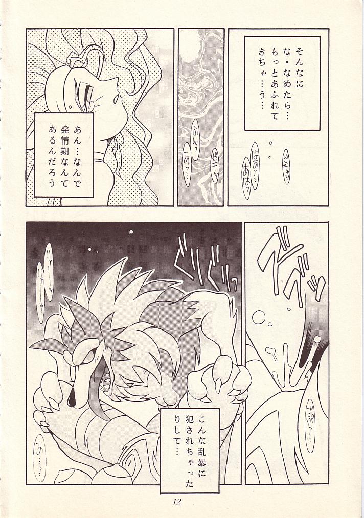 [KENIX (にんにん！, 王彪)] 艶魔降臨 vol.1 (ヴァンパイアセイヴァー)