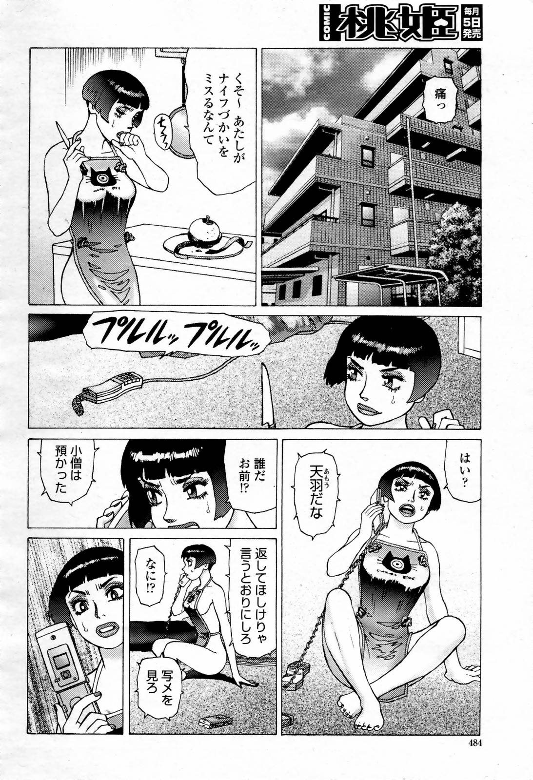 COMIC 桃姫 2007年07月号