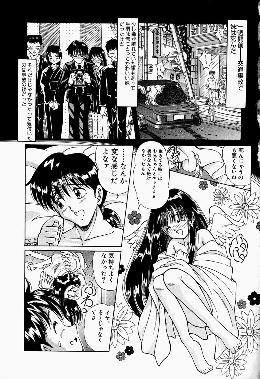 [豊川稲理] お姉ちゃんCAST