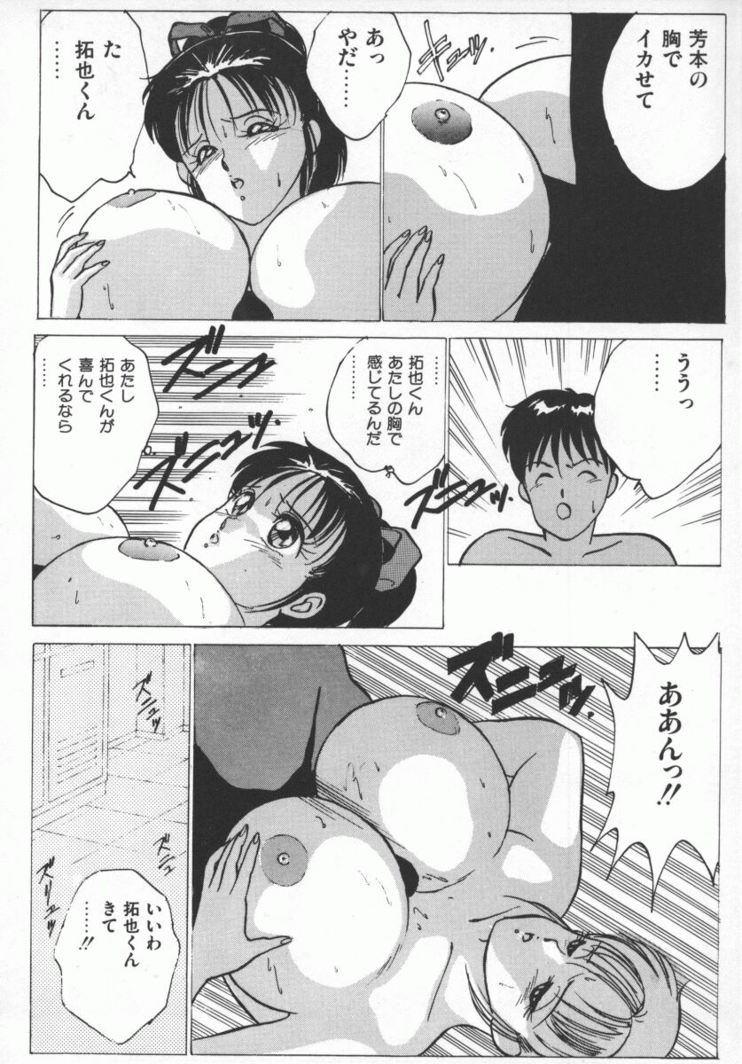 [にしまきとおる] D-cup LOVERS