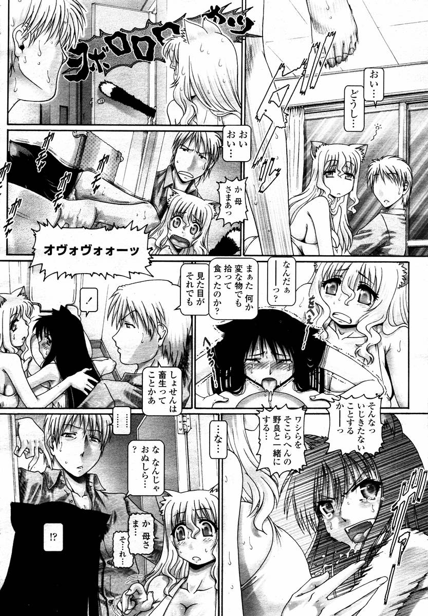 COMIC 桃姫 2008年02月号