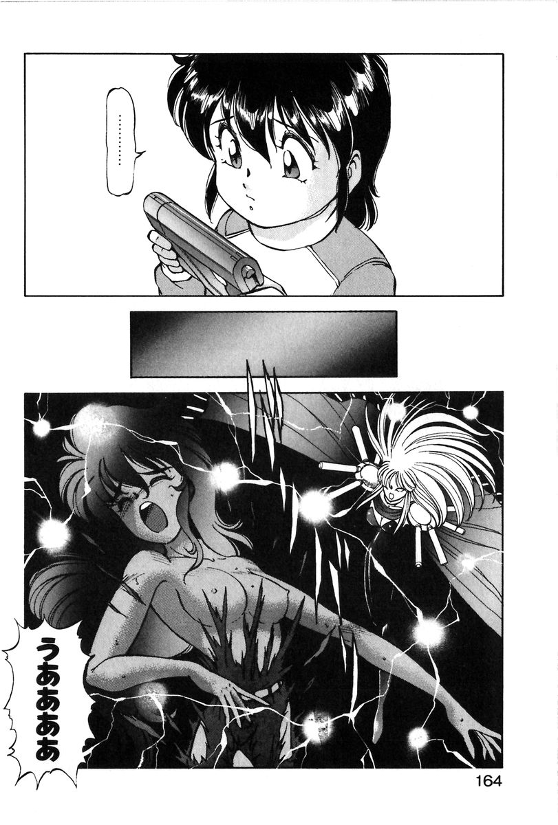 [ITOYOKO]レッツクルミ